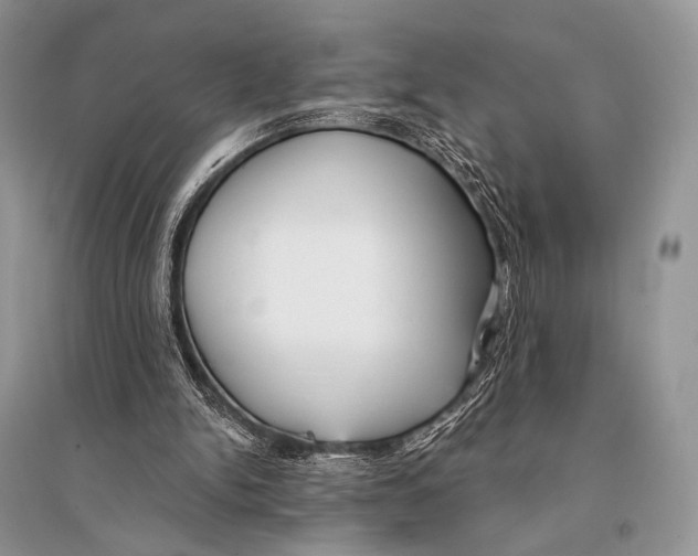X0000094920150200712201228
