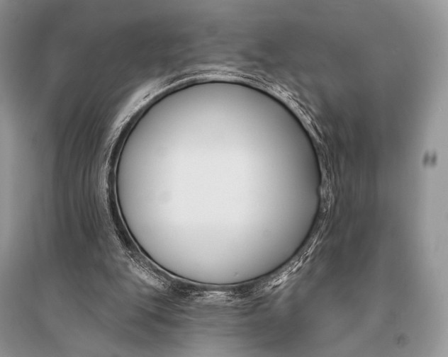X0000094920151200712201228
