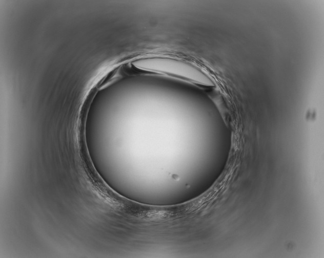 X0000094920152200712201228