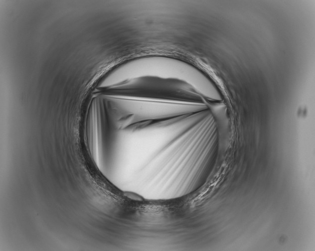 X0000094920154200712201228