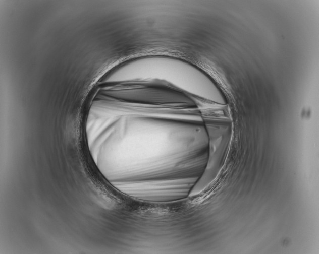 X0000094920156200712201228