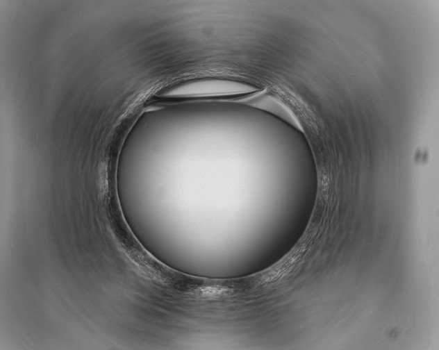 X0000094920158200712201228