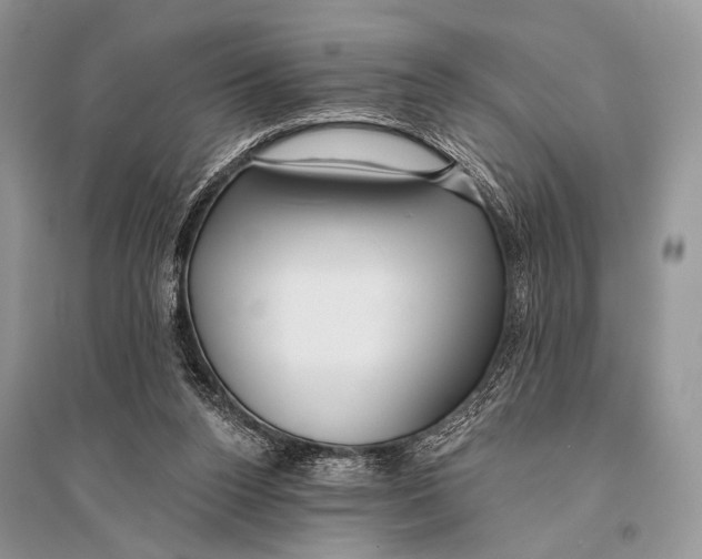 X0000094920160200712201228
