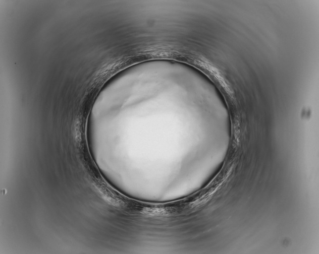 X0000094920161200712201228