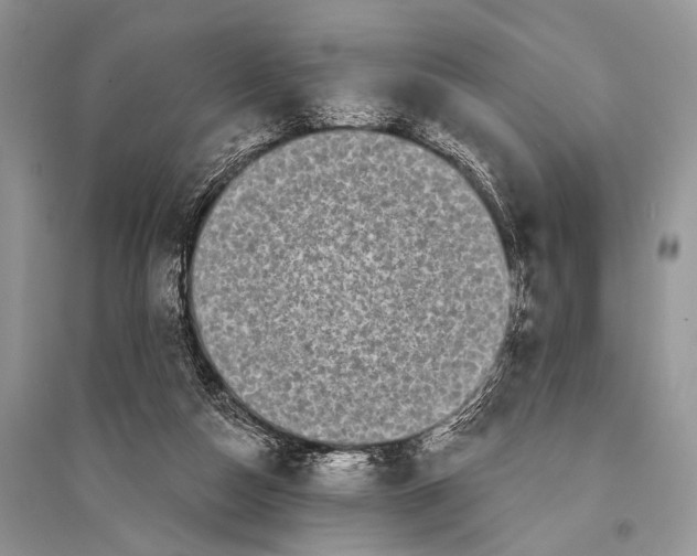 X0000094920162200712201228