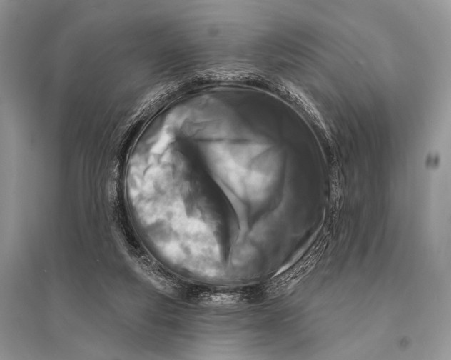 X0000094920163200712201228