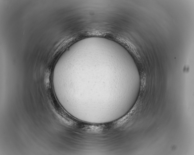 X0000094920166200712201228