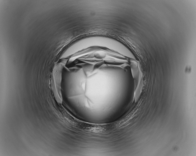 X0000094920168200712201228