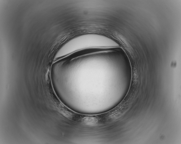 X0000094920169200712201228