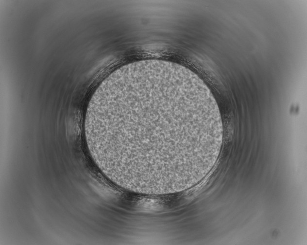 X0000094920174200712201228