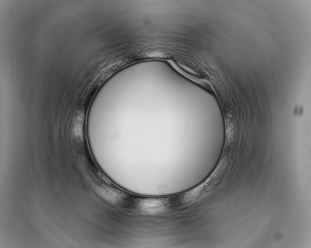 X0000094920175200712201228
