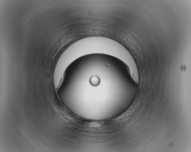 X0000094920176200712201228