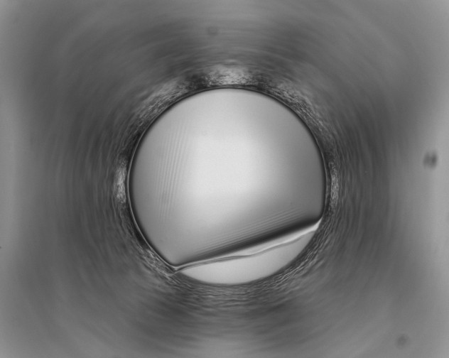 X0000094920177200712201228