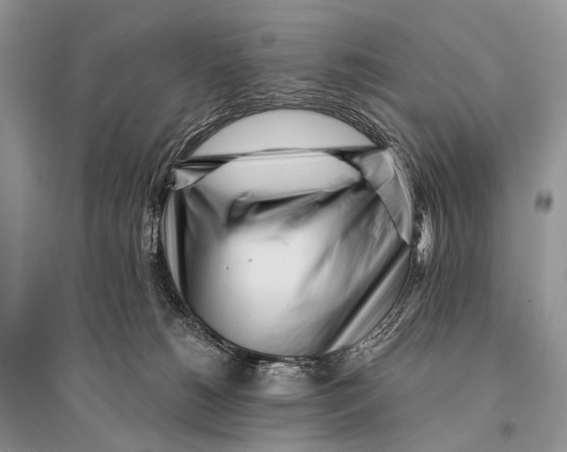 X0000094920180200712201228