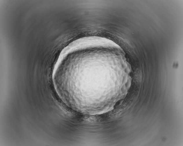 X0000094920181200712201228