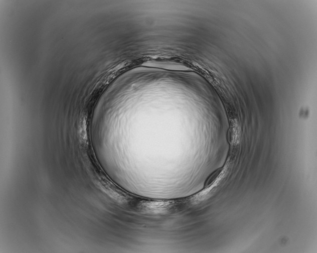 X0000094920182200712201228