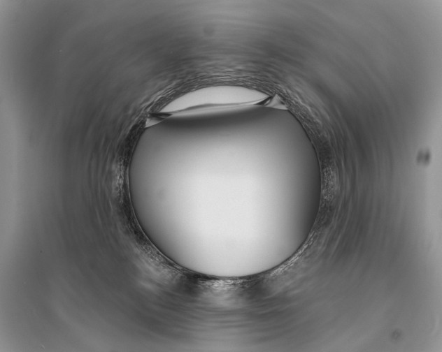 X0000094920184200712201228