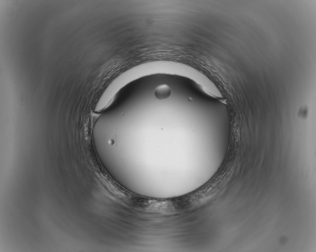 X0000094920185200712201228