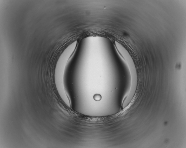 X0000094920186200712201228