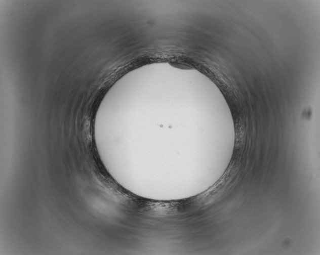X0000094920187200712201228