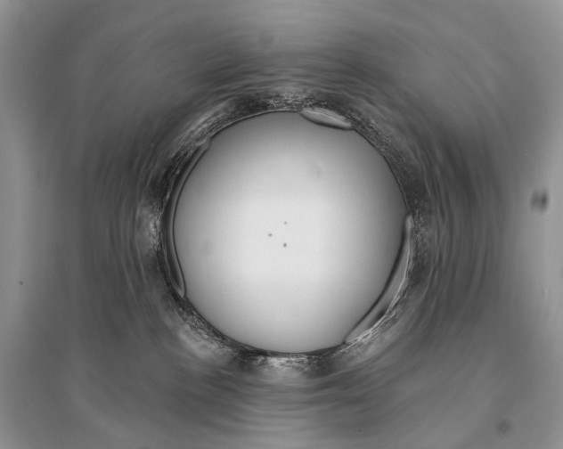X0000094920188200712201228