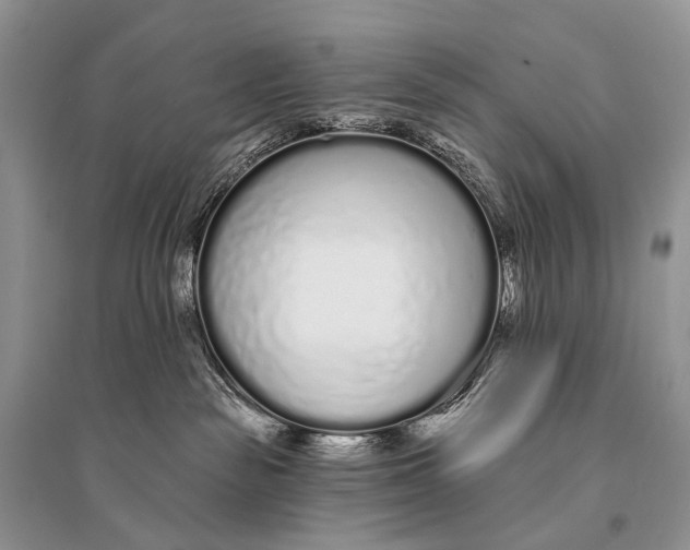 X0000094920189200712201228