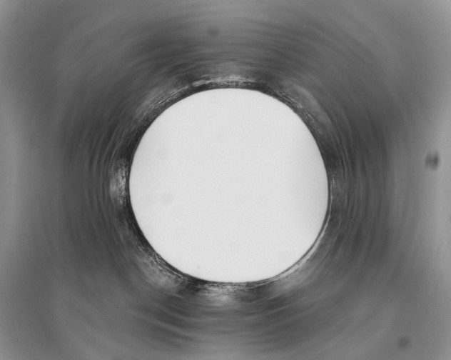 X0000094920190200712201228