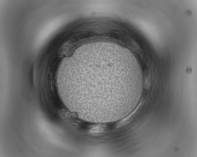 X0000094920191200712201228