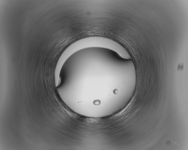 X0000094920192200712201228