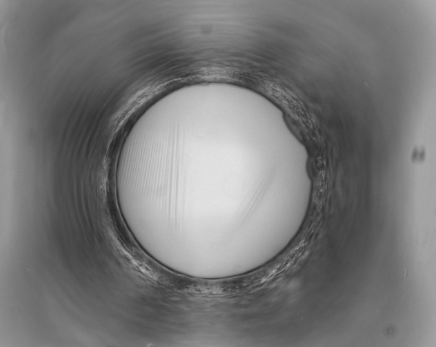 X0000094920194200712201227