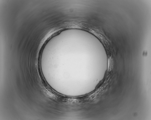 X0000094920195200712201227