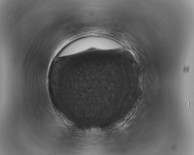 X0000094920196200712201227