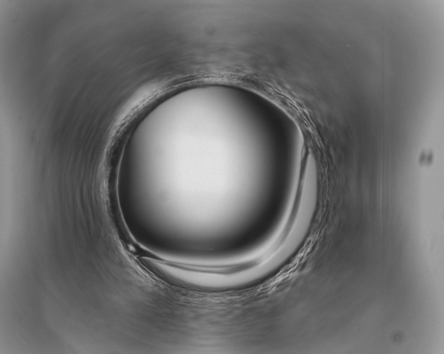 X0000094920197200712201227