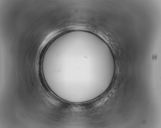 X0000094920199200712201227