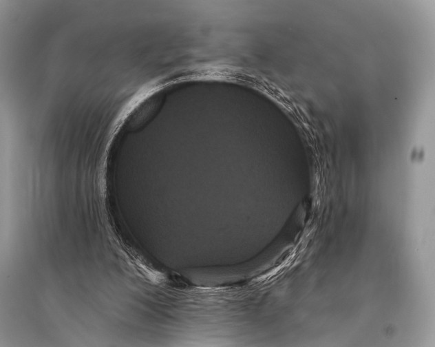 X0000094920200200712201227