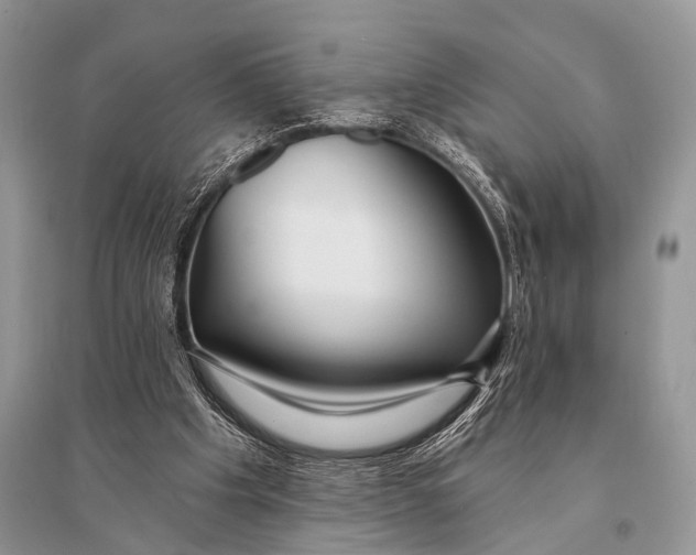 X0000094920201200712201227