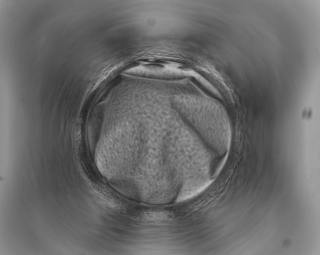 X0000094920202200712201227