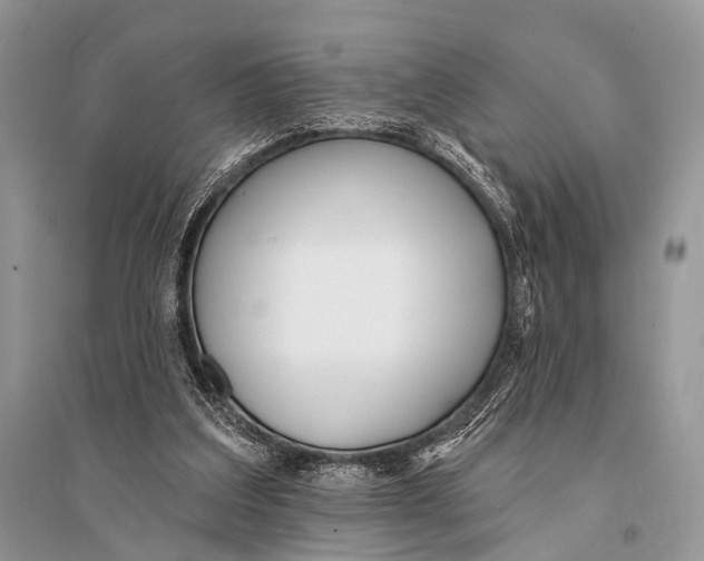 X0000094920203200712201227