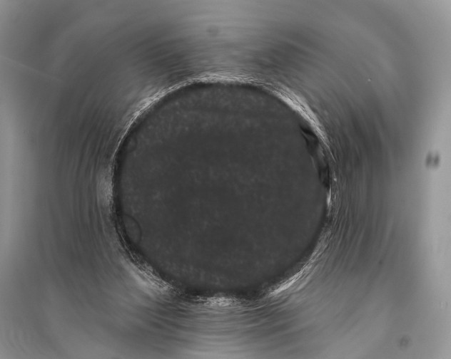 X0000094920204200712201227