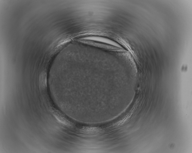 X0000094920205200712201227