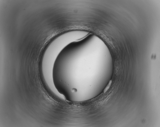 X0000094920207200712201227