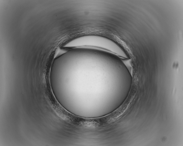 X0000094920209200712201227
