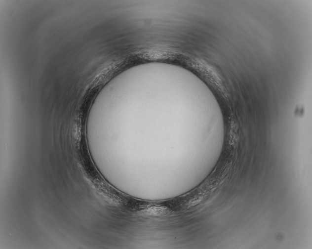 X0000094920210200712201227