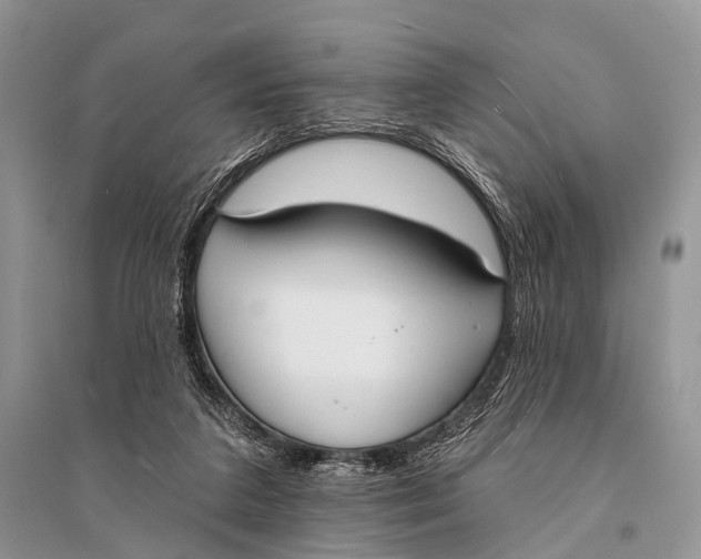 X0000094920211200712201227