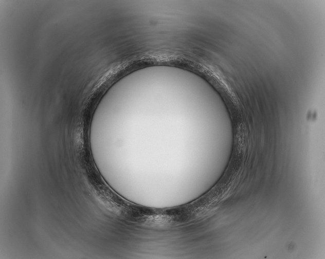 X0000094920212200712201227