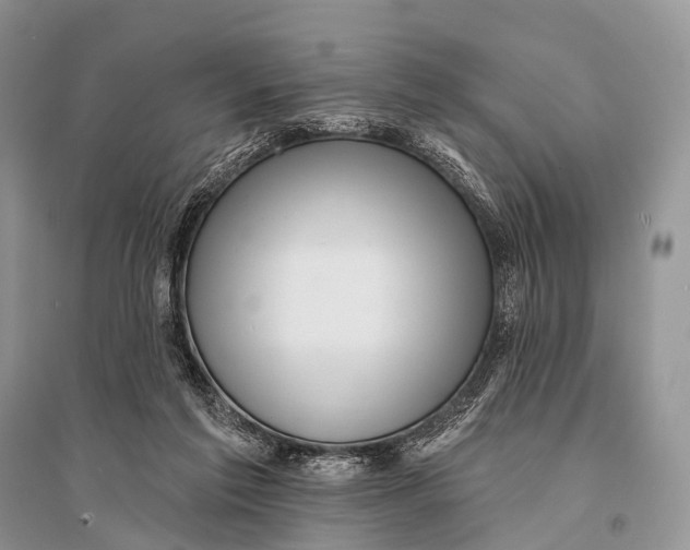 X0000094920213200712201227