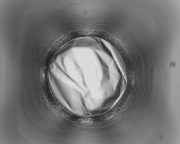 X0000094920214200712201227