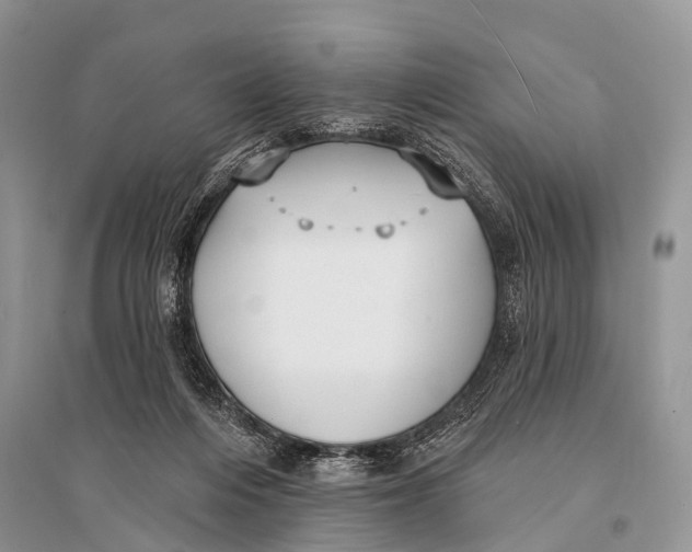 X0000094920216200712201227