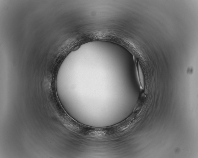 X0000094920217200712201227