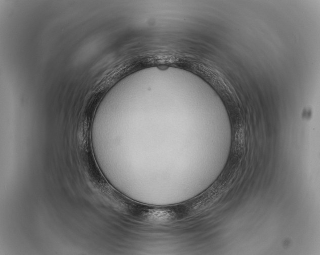 X0000094920218200712201227